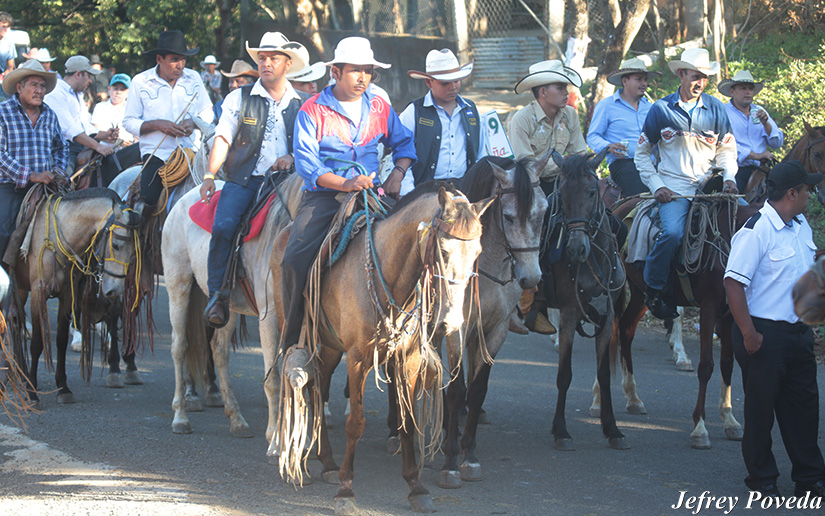 hipicos