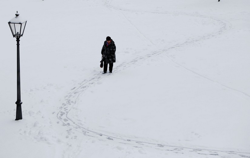 nieve