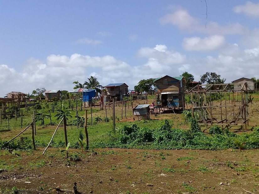 bluefields