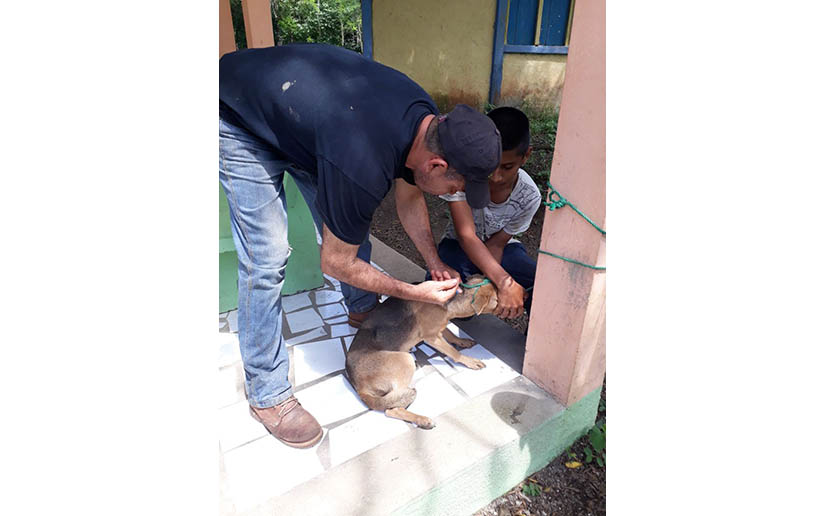 vacunacion