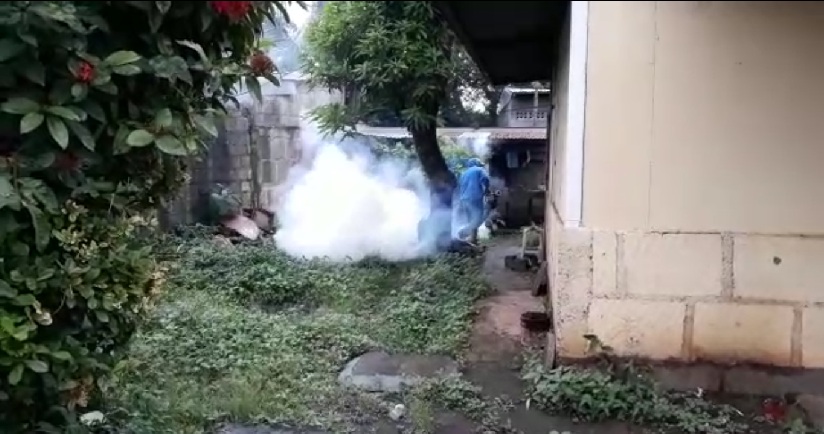 fumigacion