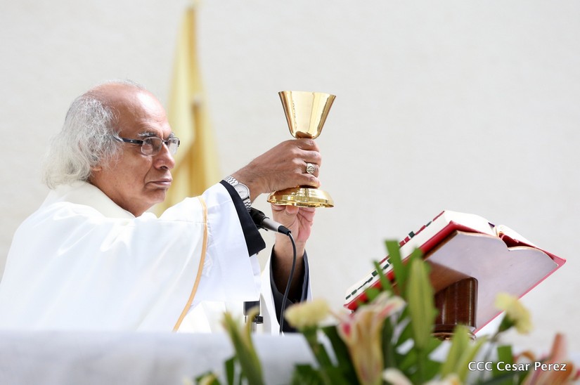 cardenal