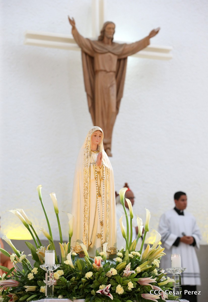 cardenal
