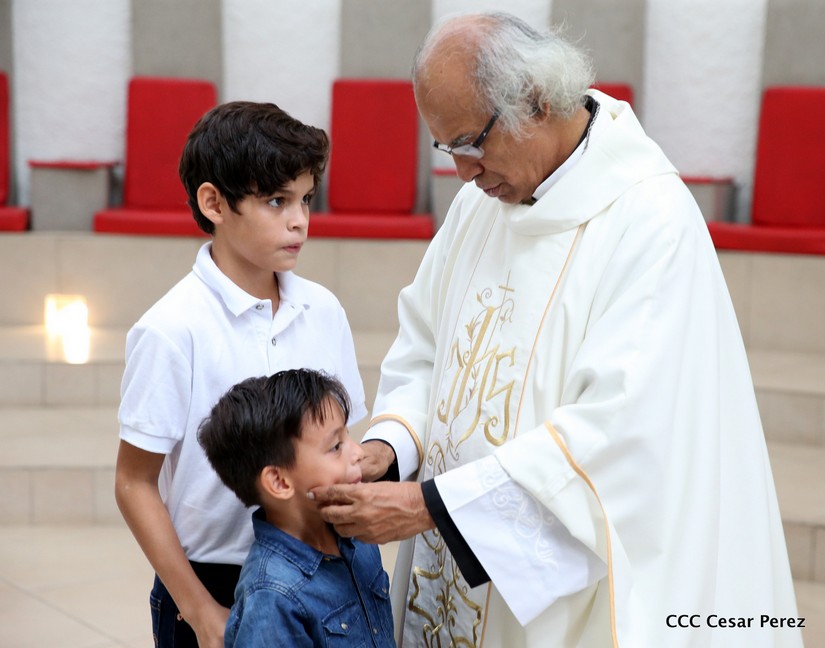 cardenal