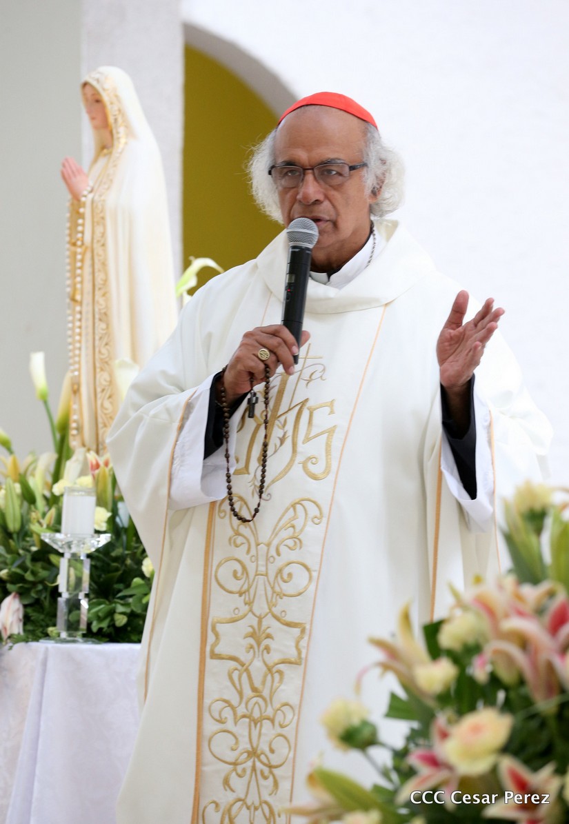 cardenal