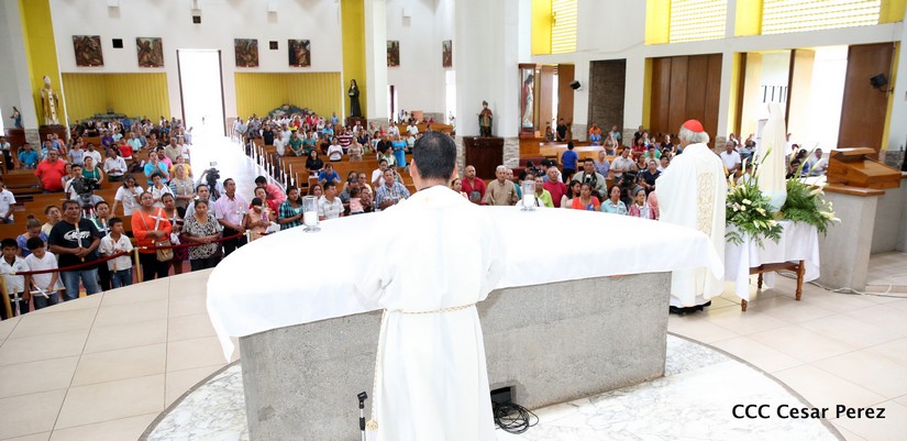 cardenal