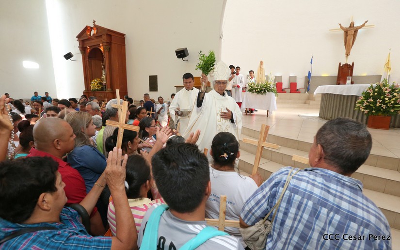 cardenal