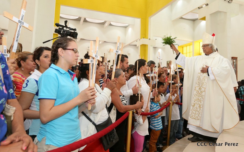 cardenal