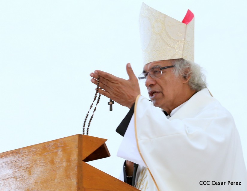 cardenal
