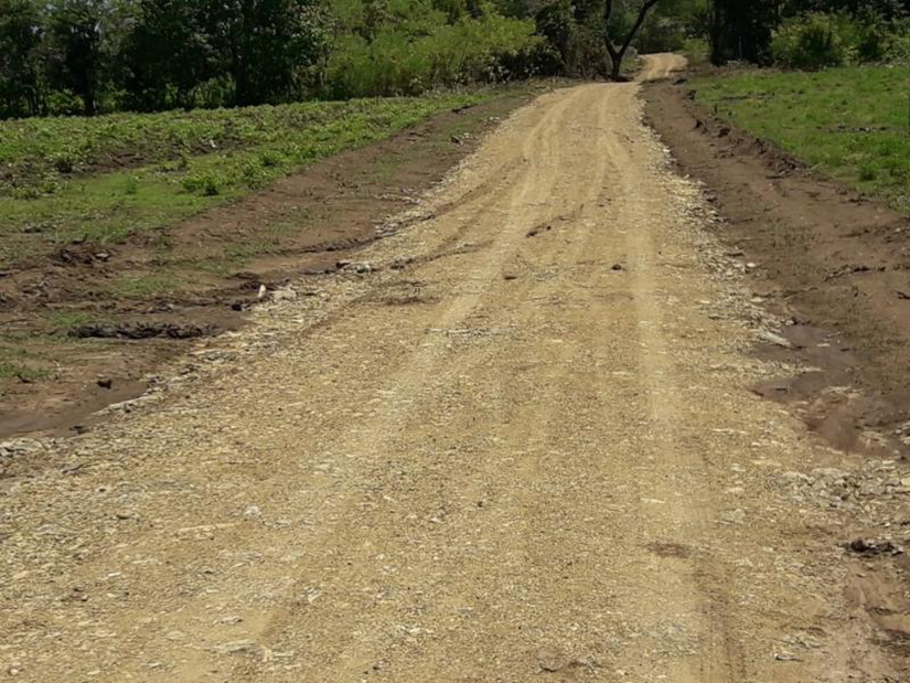 caminos