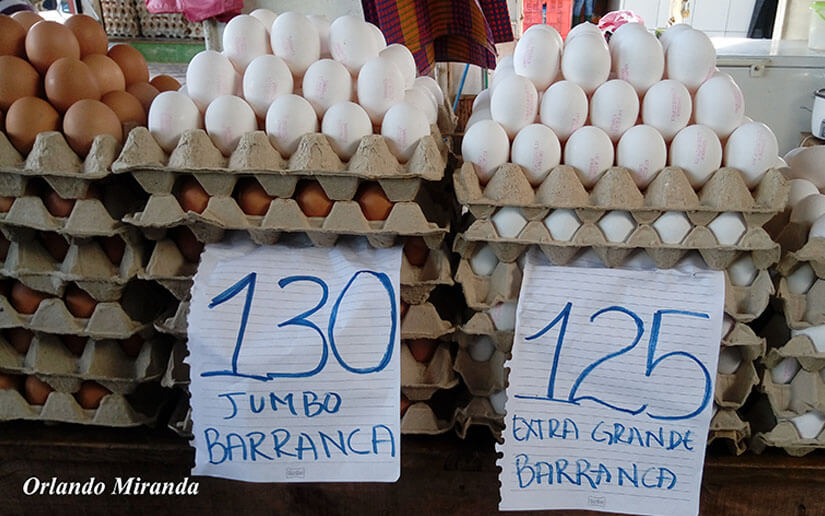 productos2