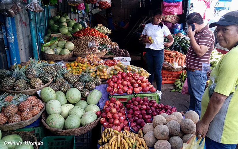productos2