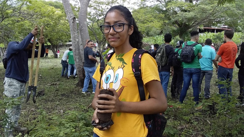 reforesta