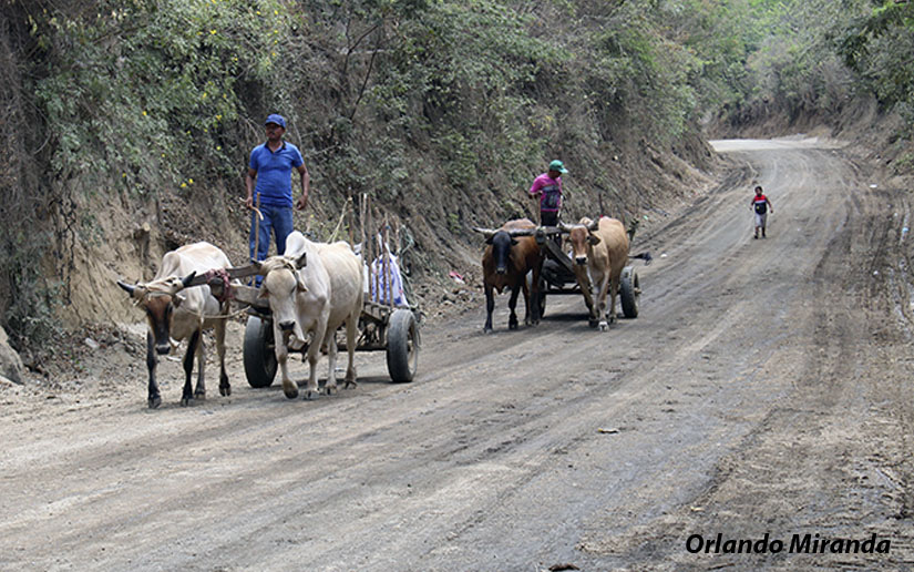 camino