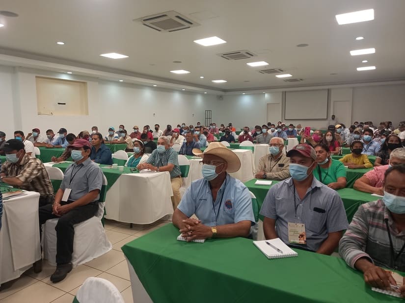 EXPORTACIONES