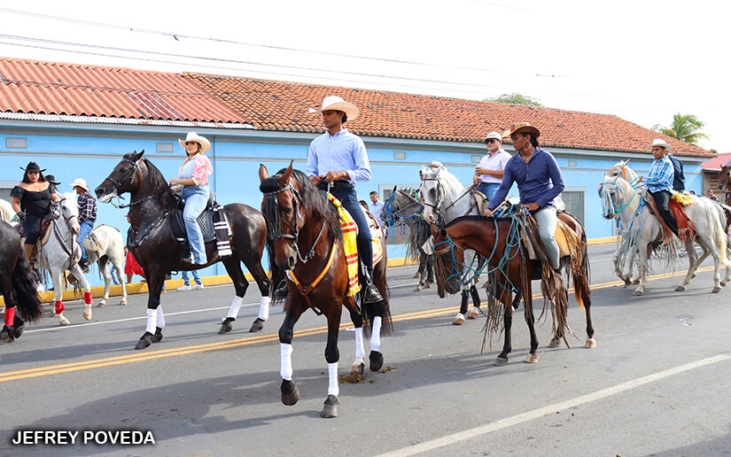 hipico