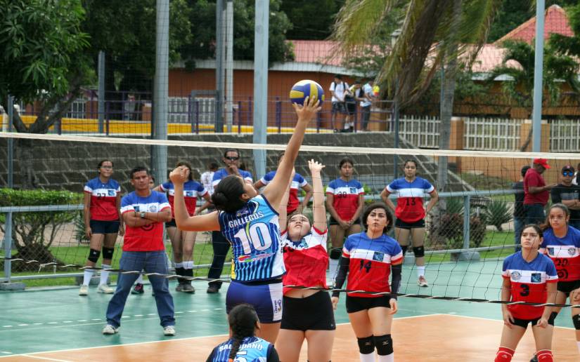 voleibol