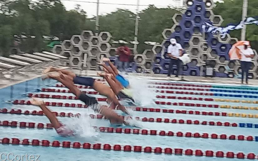 natacion
