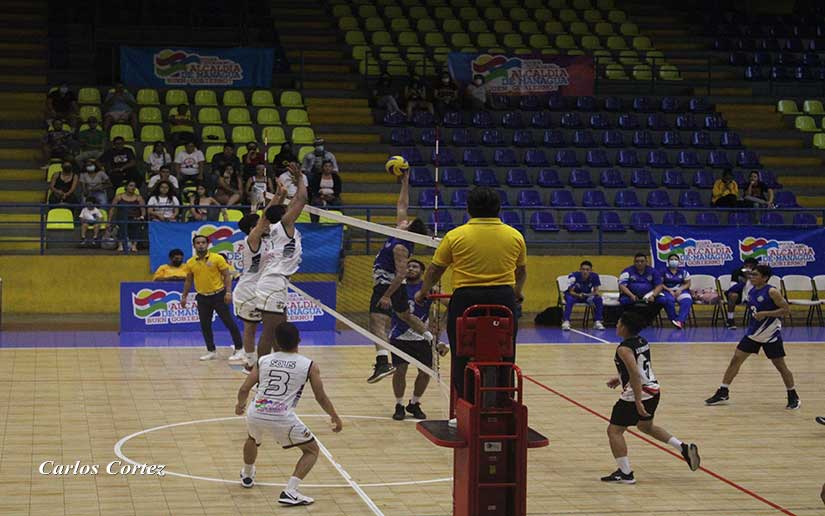 voleibol