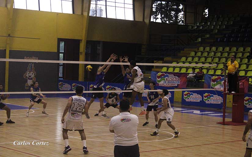 voleibol