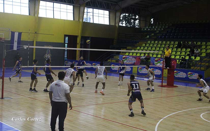 voleibol