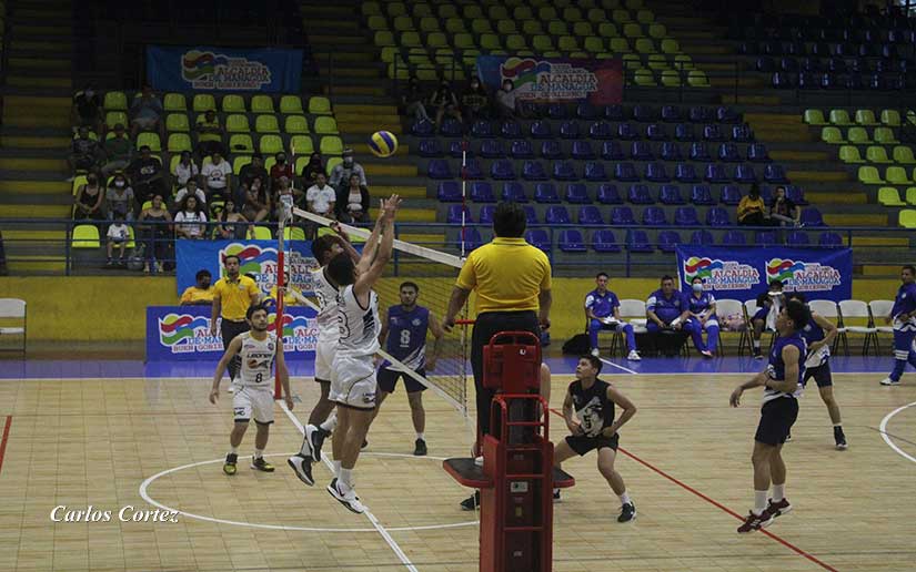 voleibol