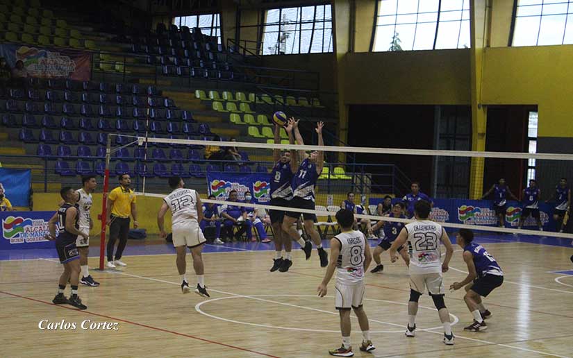 voleibol