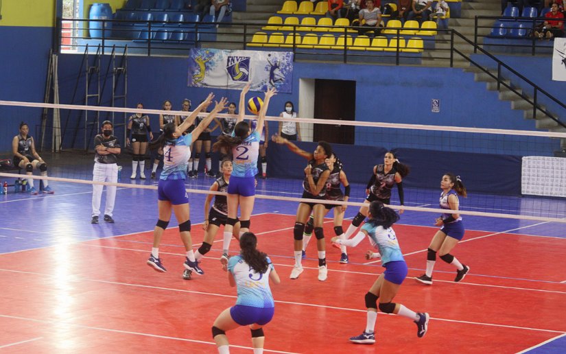 voleibol