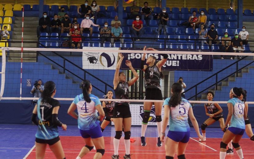 voleibol