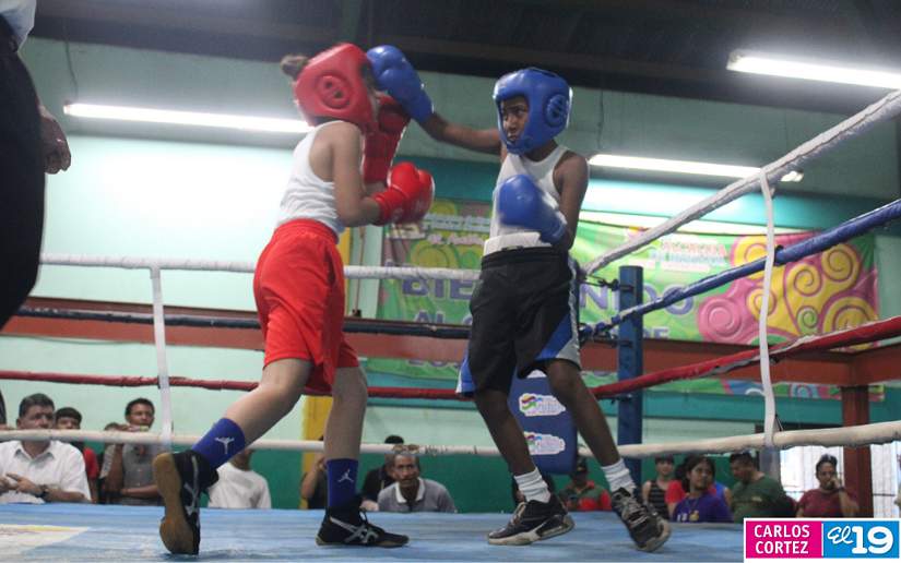 boxeo
