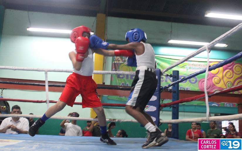 boxeo