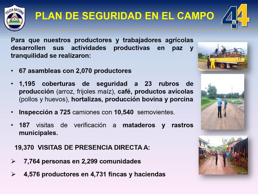 seguridad-ciudadana