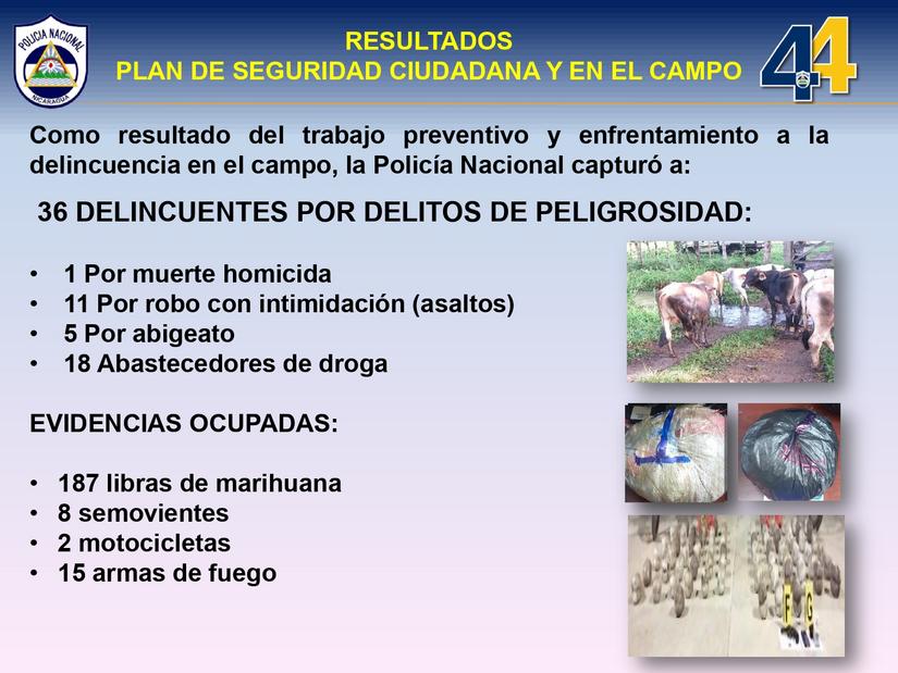 seguridad-ciudadana