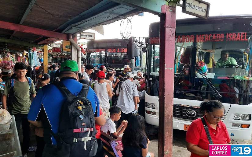 BUSES