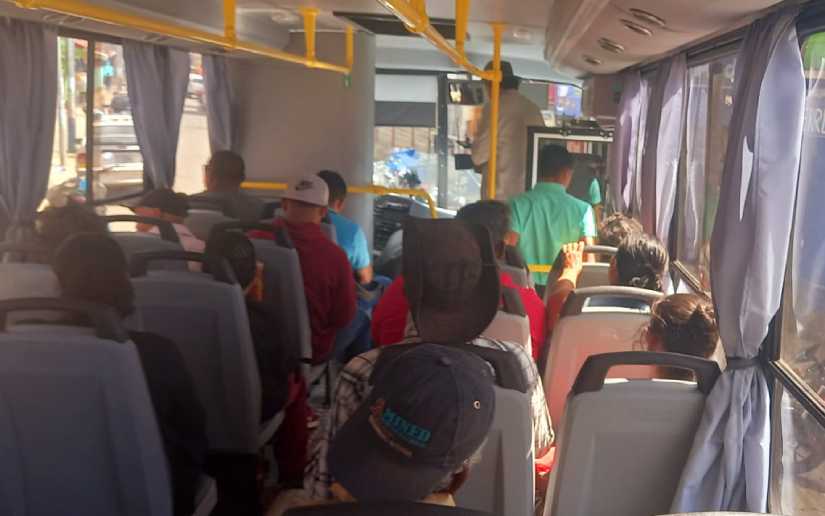 buses