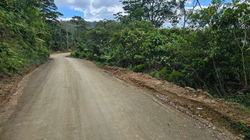 camino