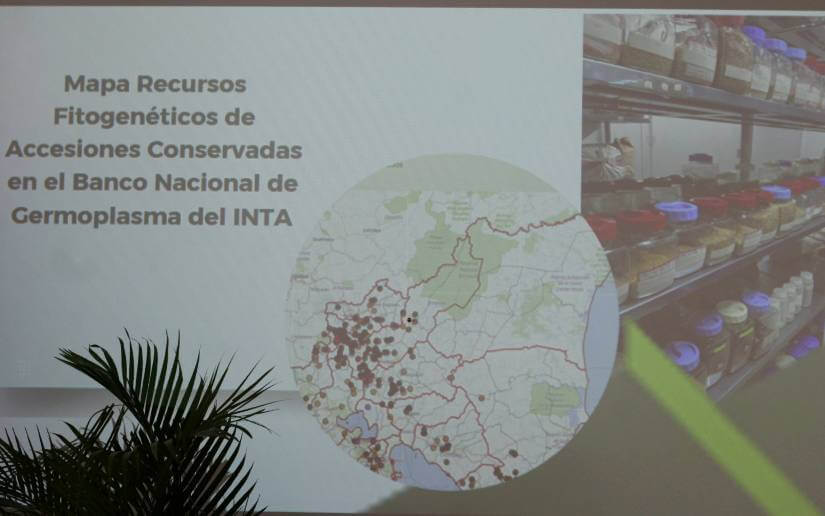 inta