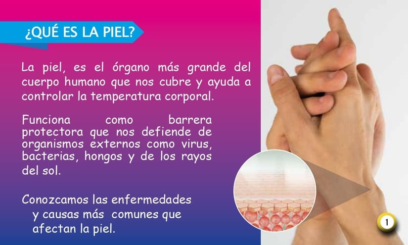 PIEL