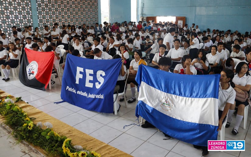 FES
