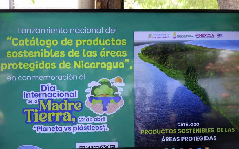 CATALOGO