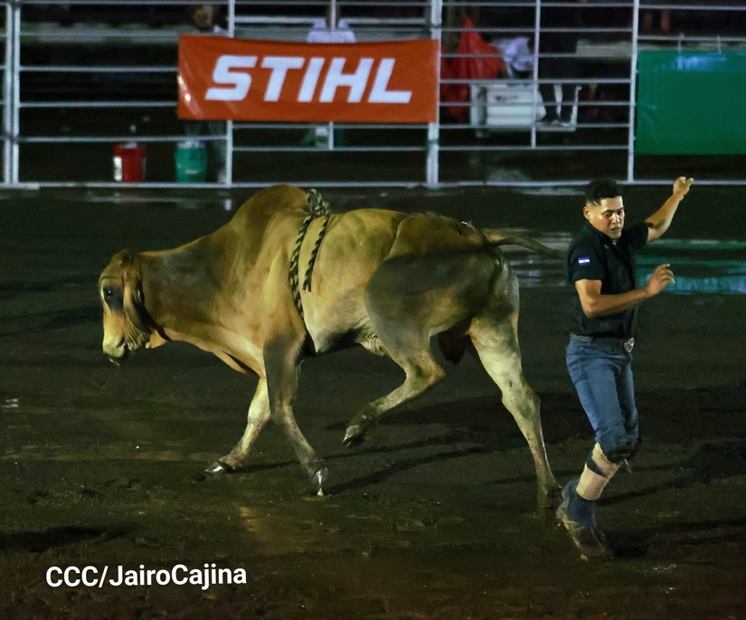 RODEO