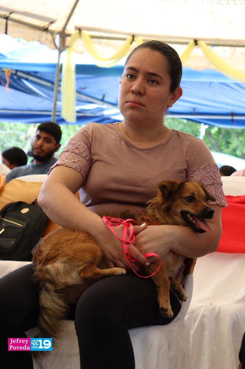 PERROS