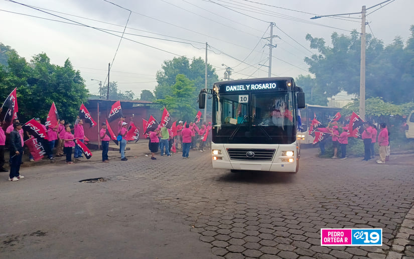 BUSES
