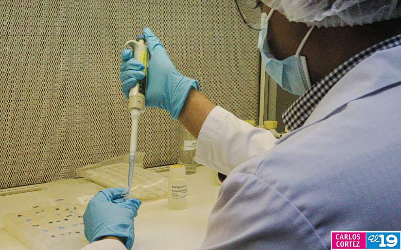 LABORATORIO11
