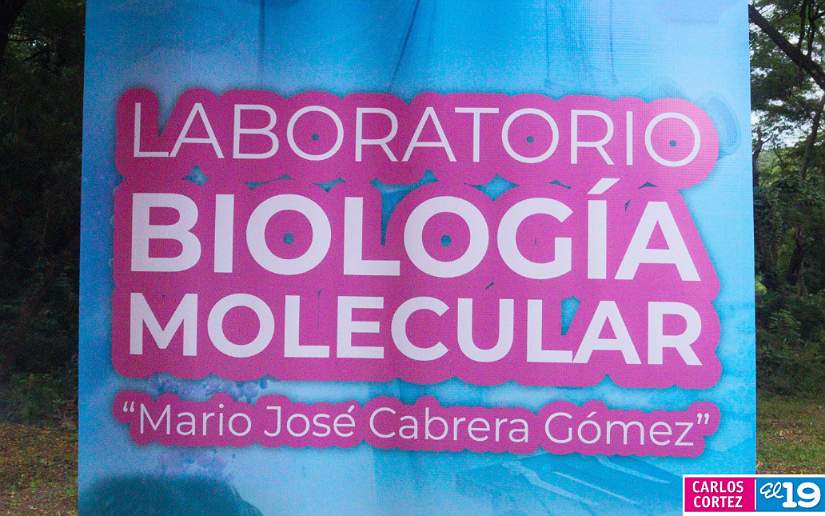 LABORATORIO5