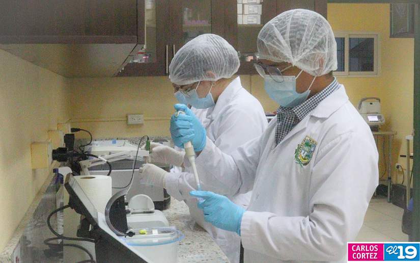 LABORATORIO6