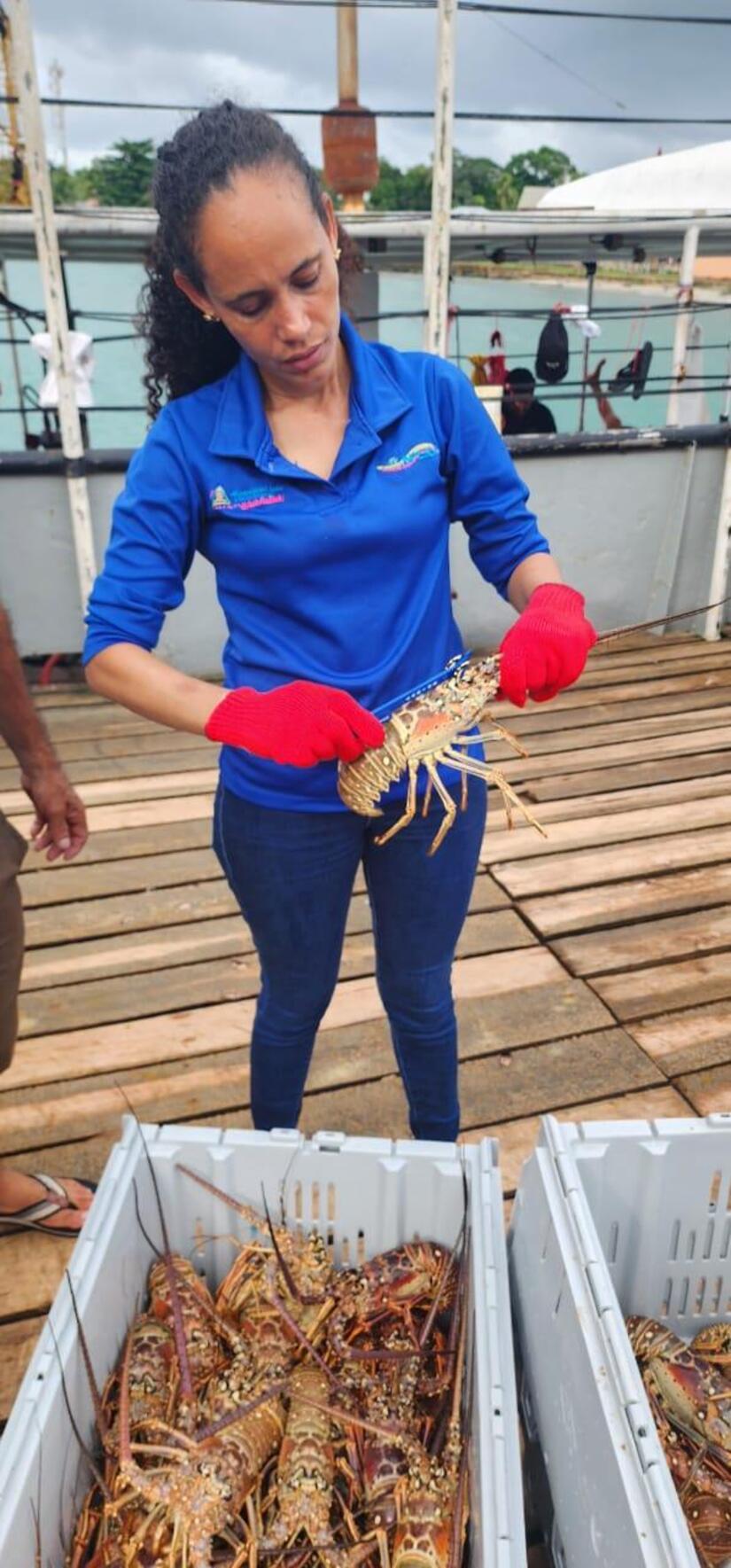 pesca6