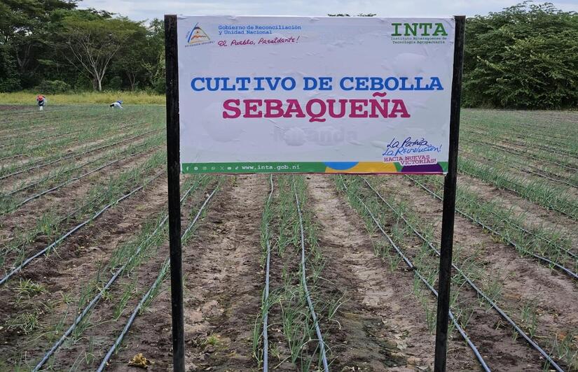 INTA18