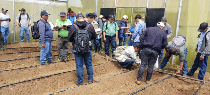 PRODUCTORES-1