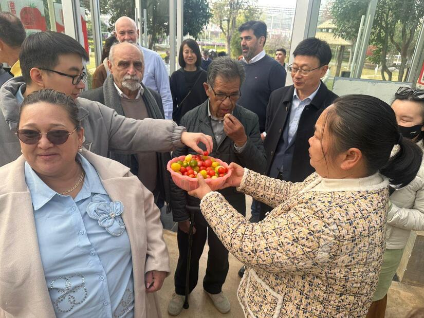 china6